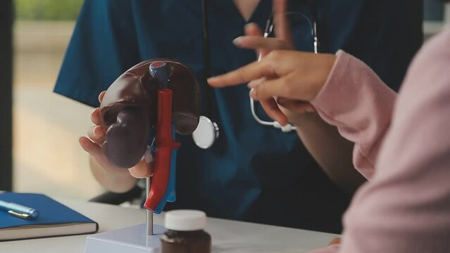 Gastroenterologist doctor explaining liver and gallbladder problems using anatomical model to patient during clinic visit. Treatment of gallbladder and liver diseases