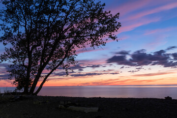 Fototapeta na wymiar silhouette of tree against a colorful sunset sky 