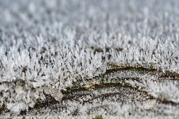 Macro photography of a ice crystals