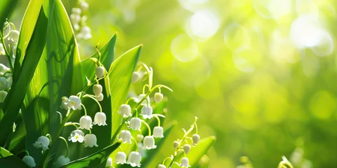 Fotobehang Vivid background with lily of the valley flowers, copy space © britaseifert