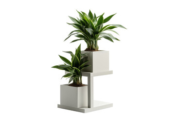 Plant Stand for Office Greenery Isolated on Transparent Background PNG format