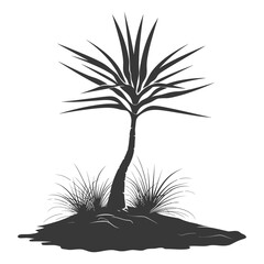 Silhouette Aloe vera tree in the ground black color only