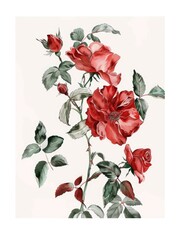 Red Rose flower, Illustration rose branch, illustration painting --ar 3:4 --iw 2 