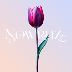 Navruz holiday, Beautiful inscription Navruz, Tulip flowers, calligraphic text, March, holiday card, background, gradient, soft colors