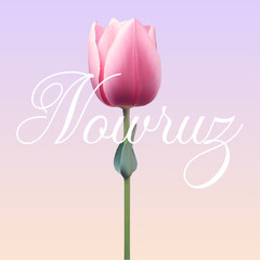 Navruz holiday, Beautiful inscription Navruz, Tulip flowers, calligraphic text, March, holiday card, background, gradient, soft colors