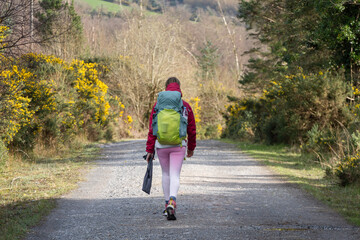 Female hiker walks towards mountains on sunny day