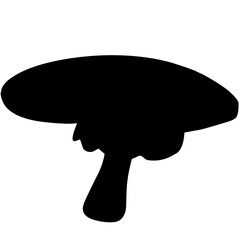 Ilustration Mushroom Silhouette