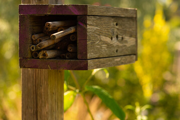 Bug hotel insect house in bamboo and wood