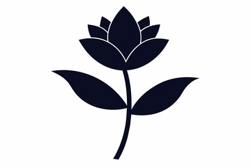 flower silhouette with white background