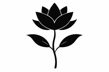 flower silhouette with white background