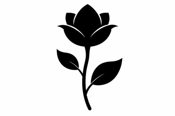 Obraz premium flower silhouette with white background