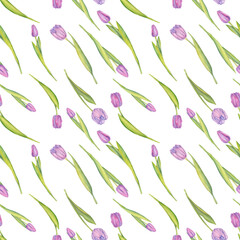 Watercolor Pink Tulips with Green Leaves Seamless Pattern. Isolated Flowers on White Background. For Cards, Textile, International Women's Day, 8th March, Mother's Day, Spring and Summer Theme.