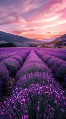 Foto op Plexiglas A field of lavender flowers with a beautiful sunset in the background. The purple flowers are arranged in neat rows, creating a serene and peaceful atmosphere. The warm colors of the sunset © vadosloginov