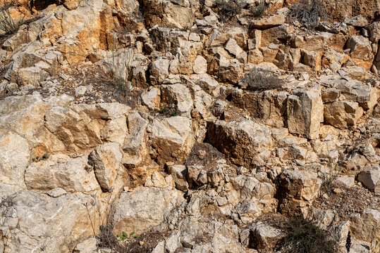 Yellow and white brown rock texture with cracks and vegetation. Close-up. Rough mountain surface. Limestone rock background for design..