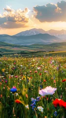 Fotobehang A field bursting with colorful flowers stretches out with towering mountains in the background under a clear blue sky. The contrast between the vibrant blooms and the rugged mountain peaks creates a s © vadosloginov