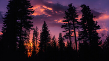 Fototapeta na wymiar Twilight Serenity: A Wilderness of Vibrant Skies and Whispering Pines