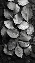 Close-up of Black and White Autumn Leaves Fallen on a Black Background Generative AI