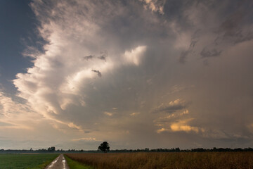 Naklejka premium Orage