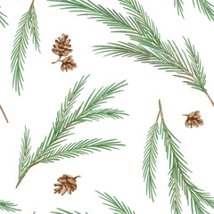 Pine and branch fir seamless pattern. Evergreen plant and tree, background with pine and fir branch, cedar twig, Christmas and New Year decoration, nature print. Hand drawn watercolor illustration