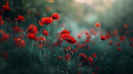 Gordijnen A dreamy image of a field of poppies, their vibrant red petals standing out against a soft-focus backdrop of greenery. © Muhammad