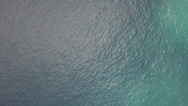 Ilha Arvoredo Floripa Florianopolis Drone Santa Catarina Biodiversidade Conserva&ccedil;&atilde;o Mergulho Preserva&ccedil;&atilde;o Natureza Ecossistema Fauna Turismo Ambiental Marinha Costeira Snorkeling Pesquisa Cient&iacute;fica