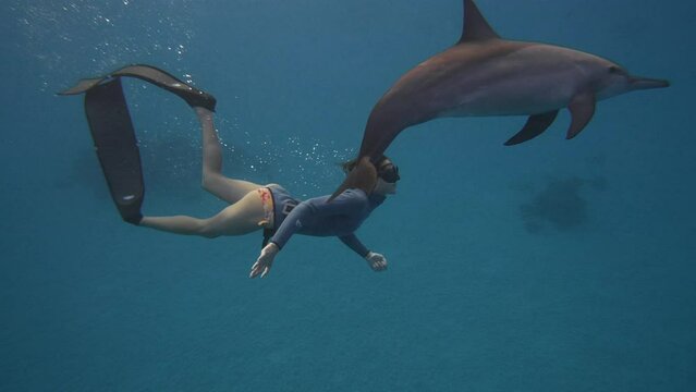 Experienced woman freediver swimming deep underwater with dolphins in blue ocean water, amazing snorkeling adventure. Armature diver woman diving in red sea with bottlenose dolphins. Travel concept