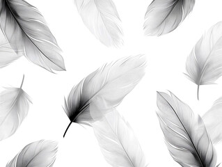 set of eleven light grey feathers isolated on white - obrazy, fototapety, plakaty