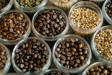 Assorted Coffee Bean Selection