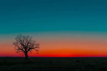 Fototapeta na wymiar Solitary Tree Against a Sunset Sky