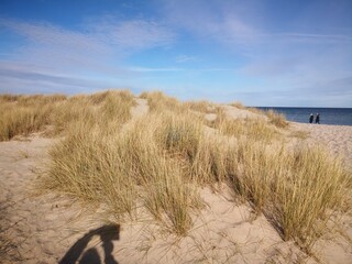 dunes in the sand