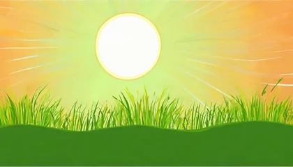 Gardinen background with grass and sun © Faith