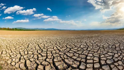 Fotobehang drought land landscape panorama © Faith