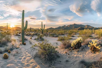 Schilderijen op glas A panoramic desert landscape captured at sunrise, highlighting the serene beauty of cacti and distant mountains. © Maria