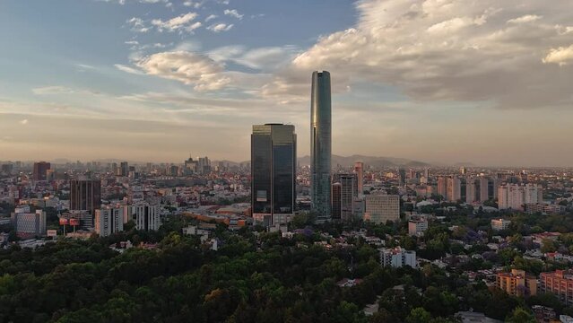 Hyperlapse reveals the enchanting nurseries of Coyoacan in southern Mexico City