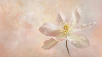 A single delicate flower in bloom, set against a soft pastel background, exuding simplicity and...