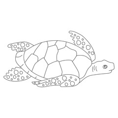Outline Sea Turtle Clipart for Lovers of Aquatic Life and Marine Life