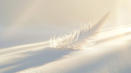 A solitary feather resting on a pristine white surface, delicately illuminated by a soft beam of light, capturing a moment of quiet elegance and grace.