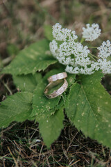 wedding rings on a bouquet of flowers
