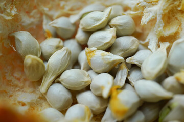 Macro photography of orange seeds.