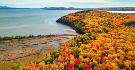 Vibrant trees and landscape on East Coast of Atlantic Ocean. Quebec, Canada