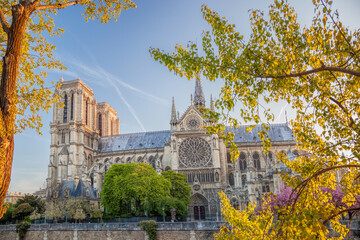 Paris, Notre Dame cathedral with spring trees in France - 762656507