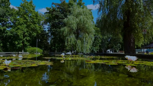 11 09 2023: fountain with water lilies in a city park. Rabka Zdroj, Poland