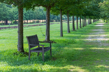 bench in the park