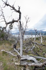 torres del paine national park in chilean patagonia