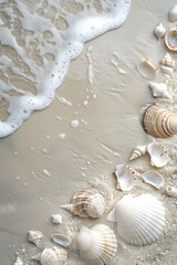 Fototapeta na wymiar Seashells and Sand on a Beach With Wave Approaching