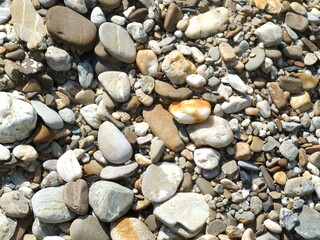pebbles on the beach