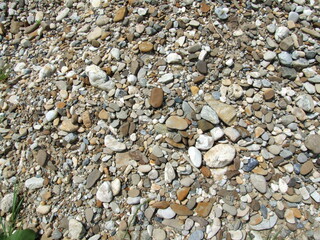 pebbles on the beach