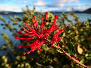 torres del paine national park in chilean patagonia