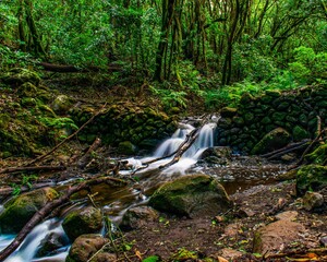 El Cedro, La Gomera