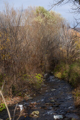 Fototapeta premium Autumn landscape with Vanadzor river and trees